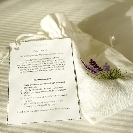 Hilton Mallorca Galatzo パゲラ